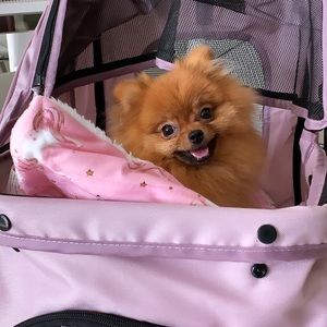 Meet your Posher, Oli